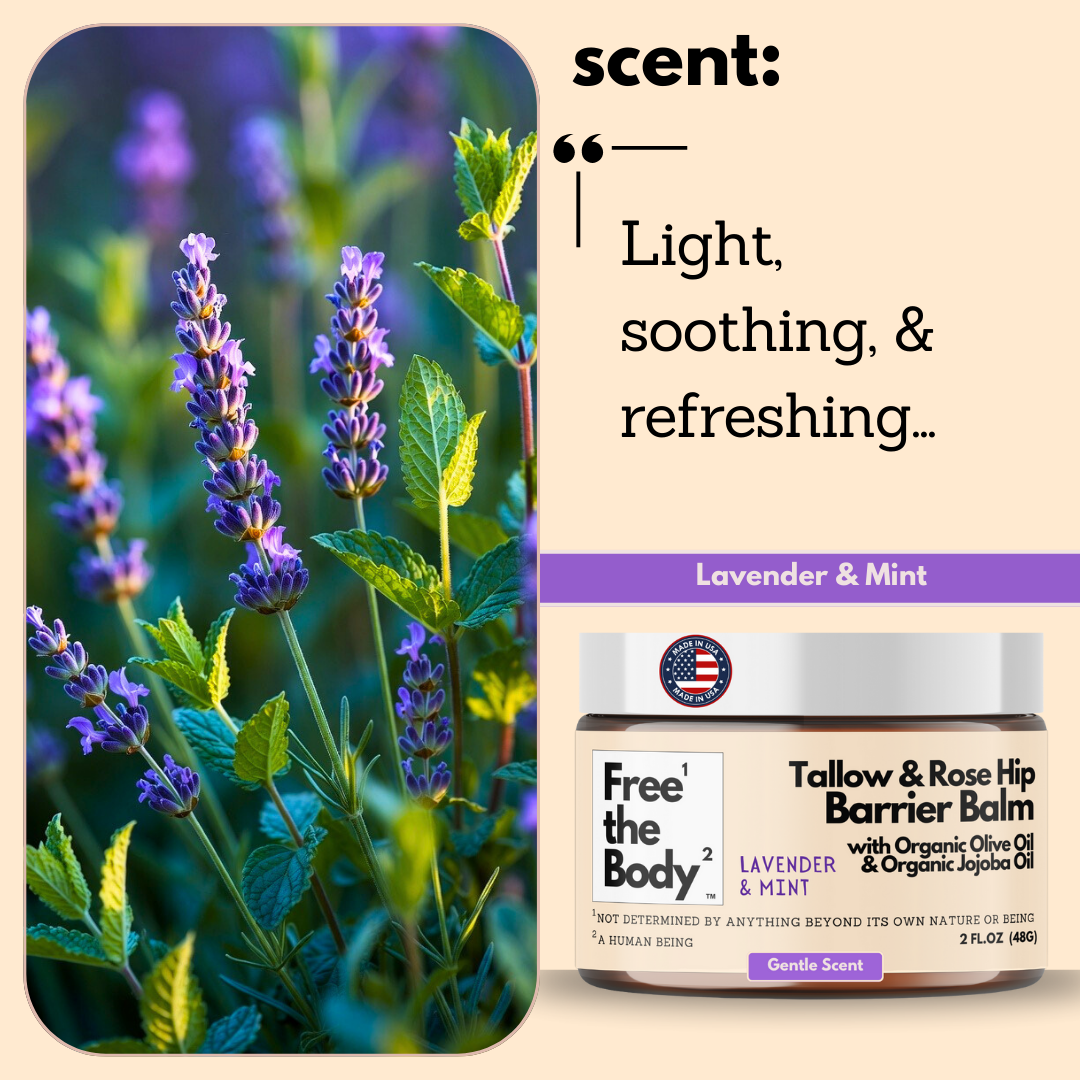 Lavender plant with a jar of Free the Body Tallow & Rose Hip Barrier Balm on a beige background.